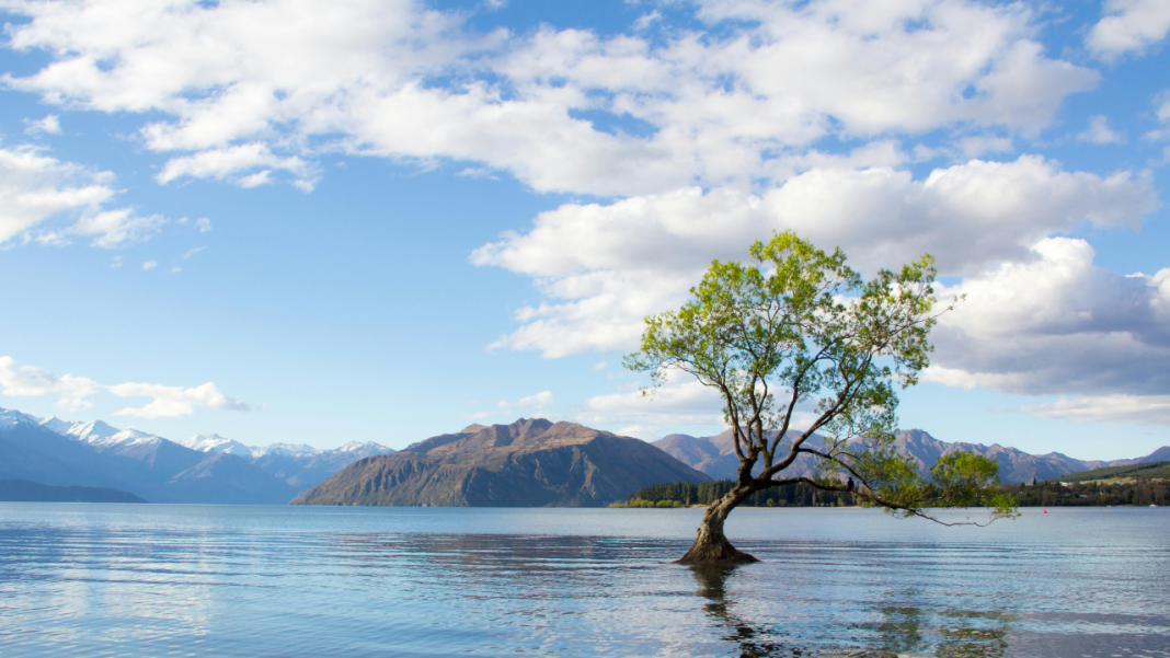 Can New Zealand’s Regenerative Tourism Model Rewrite the Future of Global Travel? Can New Zealand’s Regenerative Tourism Model Rewrite the Future of Global Travel?