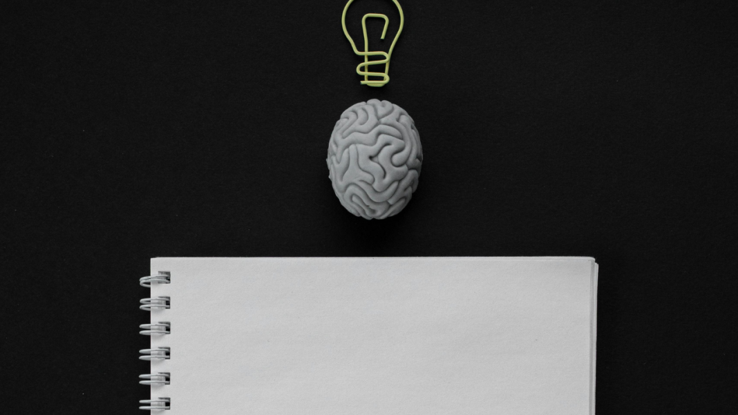 Could Lab-Grown Brain Tissue Without Animal Materials Revolutionise Neurological Drug Testing? Could Lab-Grown Brain Tissue Without Animal Materials Revolutionise Neurological Drug Testing?