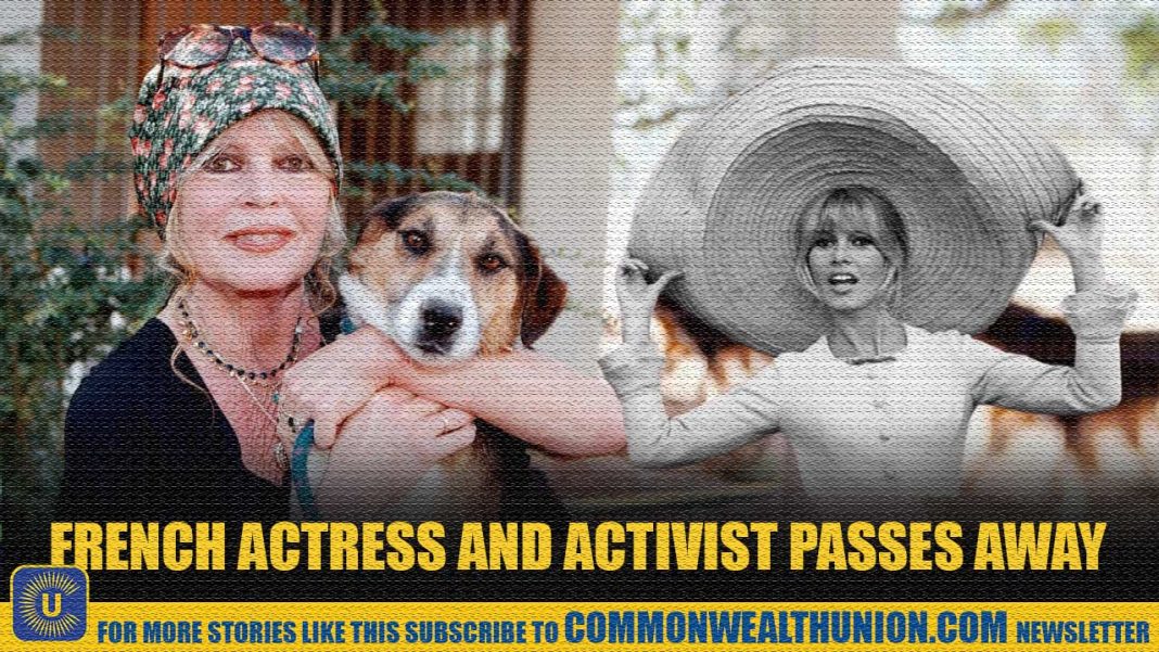 French Cinema Icon and Animal Rights Activist: Who Was Brigitte Bardot? French Cinema Icon and Animal Rights Activist: Who Was Brigitte Bardot?