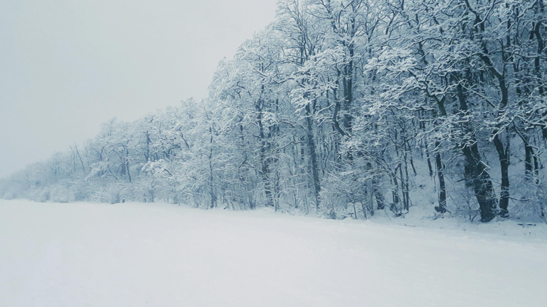 Seasonal Magic on the Page: 6 Winter Novels to Escape the Chill Seasonal Magic on the Page: 6 Winter Novels to Escape the Chill