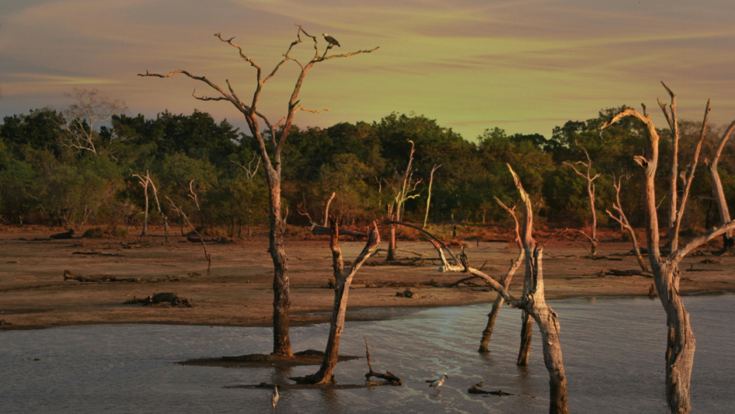 What Will It Take to Protect Food Supplies in Sri Lanka and Malaysia Amid Intensifying Floods? What Will It Take to Protect Food Supplies in Sri Lanka and Malaysia Amid Intensifying Floods?