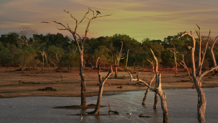 What Will It Take to Protect Food Supplies in Sri Lanka and Malaysia Amid Intensifying Floods?