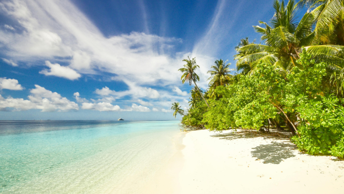 How the Solomon Islands’ New Reef Finance Pilot Could Transform Ocean Conservation Across the Commonwealth