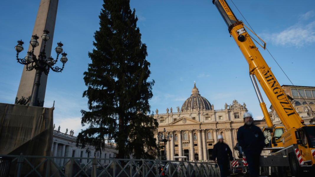 A Christmas Gift From the Alps: Vatican’s 2025 Tree & Nativity A Christmas Gift From the Alps: Vatican’s 2025 Tree & Nativity