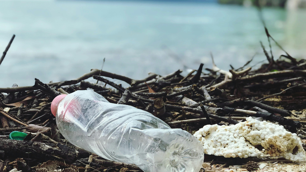 Study Links Common Plastic Chemicals and Ultra-Processed Foods to Chronic Skin Disease Study Links Common Plastic Chemicals and Ultra-Processed Foods to Chronic Skin Disease