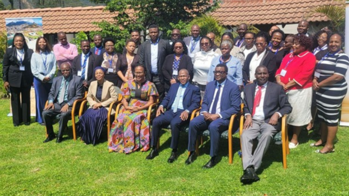 Can Eswatini’s Capacity-Building Workshop Transform the Quality of Its Future Legislation?