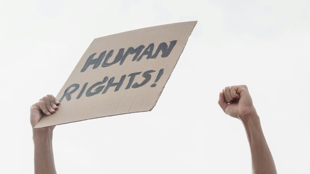 NHRC Celebrates Human Rights Day: President Murmu Delivers Key Address NHRC Celebrates Human Rights Day: President Murmu Delivers Key Address