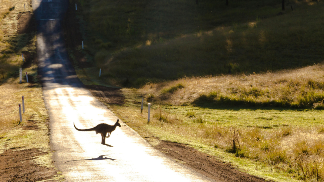 Can Your Holiday Restore the Land? Inside Australia’s Shift Toward Regenerative Tourism