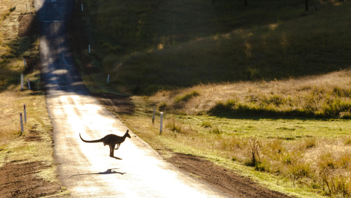 Can Your Holiday Restore the Land? Inside Australia’s Shift Toward Regenerative Tourism