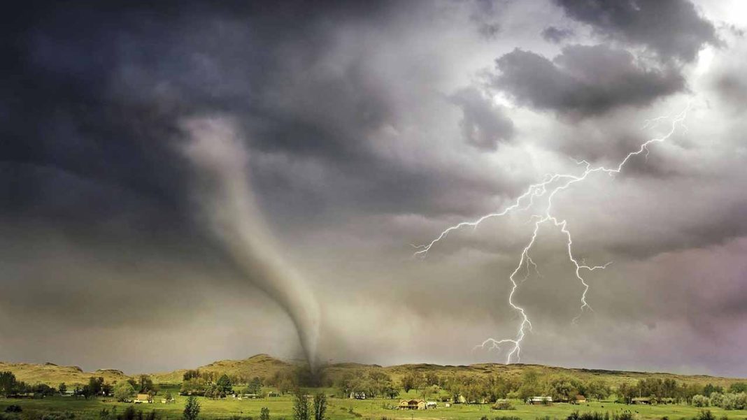 Cyclone Ditwah Destructs 175,000 Hectares of Cropland in Sri Lanka, Threatening Food Security Cyclone Ditwah Destructs 175,000 Hectares of Cropland in Sri Lanka, Threatening Food Security