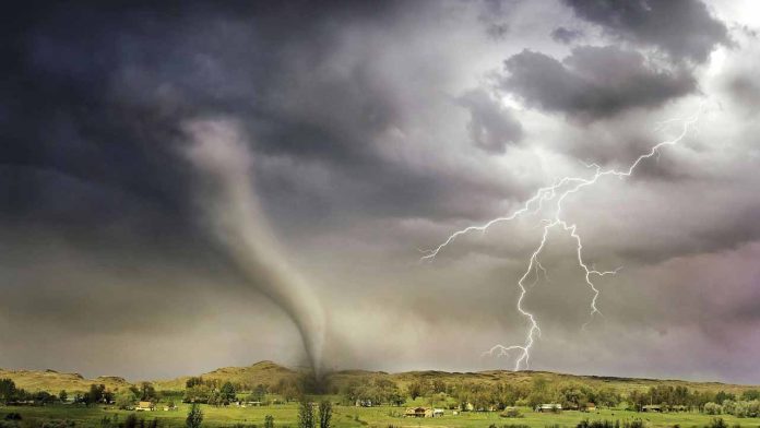 Cyclone Ditwah Destructs 175,000 Hectares of Cropland in Sri Lanka, Threatening Food Security