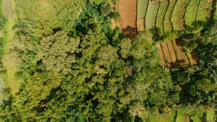 Brazil’s First Official Arid Zone Signals Escalating Climate Crisis in the Northeast