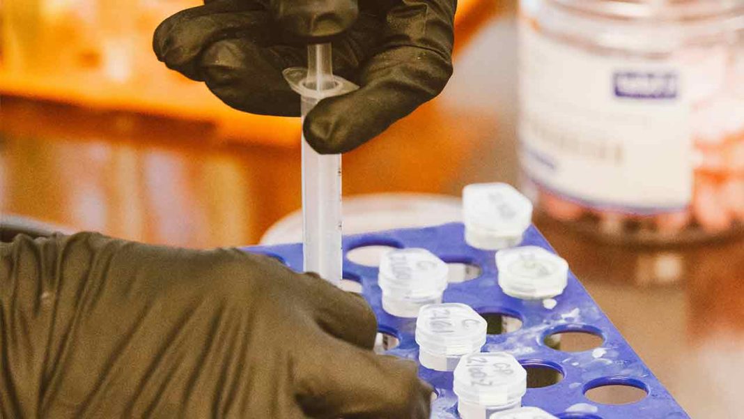 New Discovery Shows Single Signaling Pathway Can Toggle Immune Response for Disease Treatment New Discovery Shows Single Signaling Pathway Can Toggle Immune Response for Disease Treatment