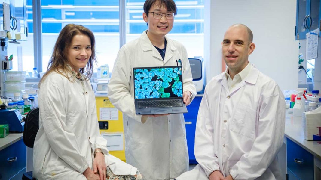 New Research Reveals Why Chronic Wounds Fail to Heal and Points to Antibiotic-Free Therapies New Research Reveals Why Chronic Wounds Fail to Heal and Points to Antibiotic-Free Therapies
