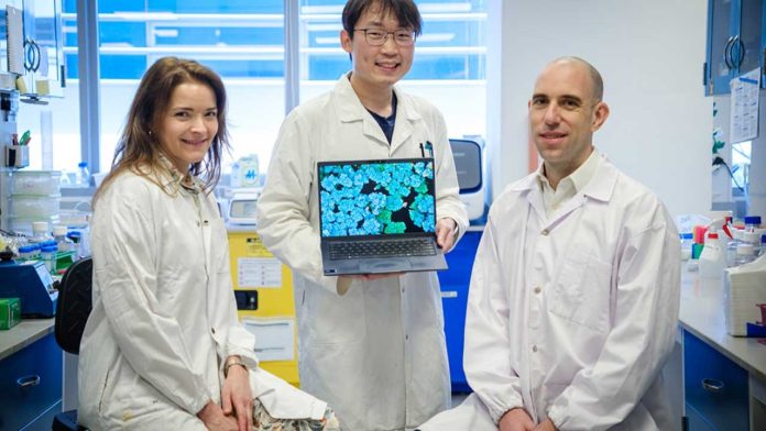 New Research Reveals Why Chronic Wounds Fail to Heal and Points to Antibiotic-Free Therapies