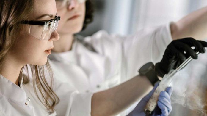 Can Nanoparticles Eliminate Disease-Causing Proteins? New Study Points to a Breakthrough