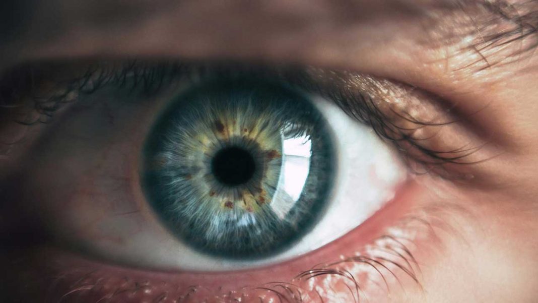 Scientists Observe Rod Photoreceptors’ Nanoscale “Twitch” at Light Detection, Advancing Non-Invasive Eye Disease Screening Scientists Observe Rod Photoreceptors’ Nanoscale “Twitch” at Light Detection, Advancing Non-Invasive Eye Disease Screening