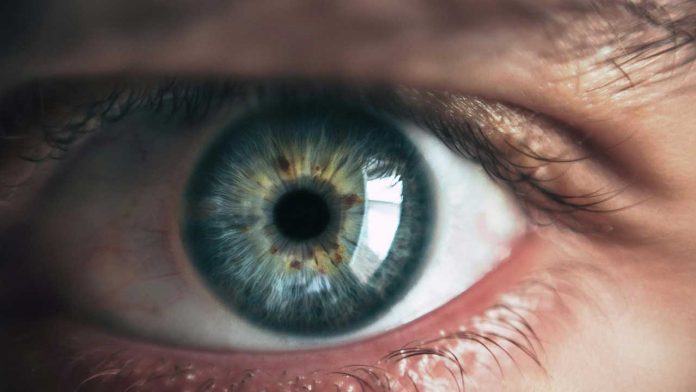 Scientists Observe Rod Photoreceptors’ Nanoscale “Twitch” at Light Detection, Advancing Non-Invasive Eye Disease Screening