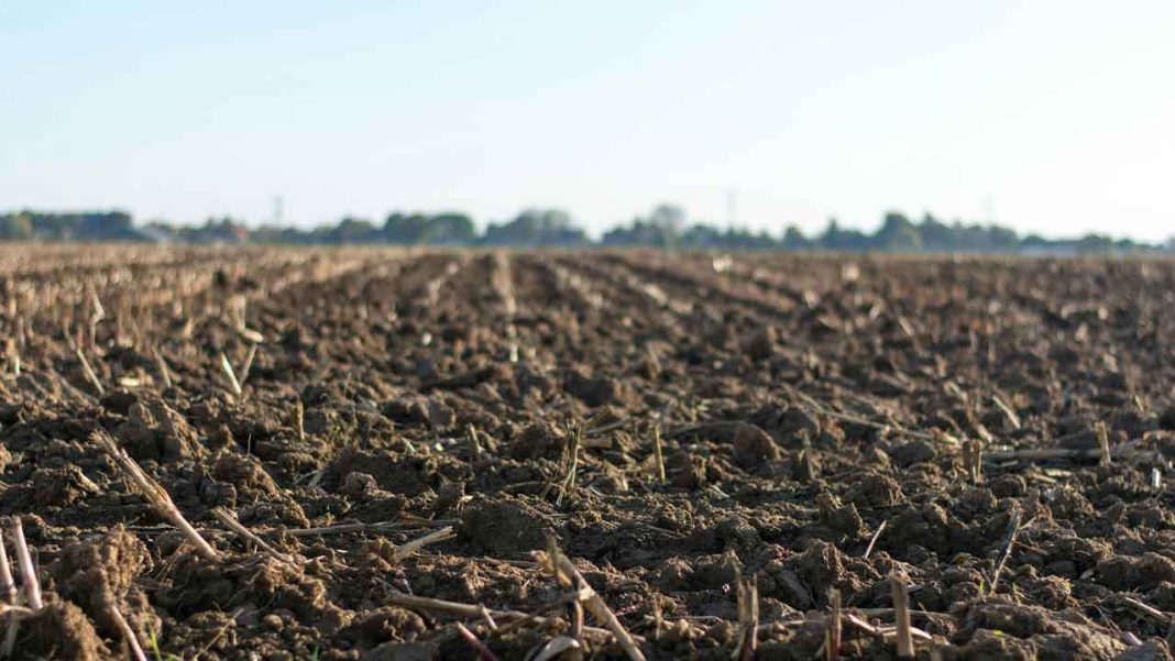 What Does Cyclone Ditwah Mean for Sri Lanka’s Food Security and Livelihoods?