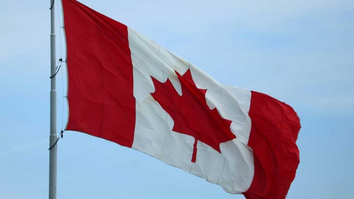 Canada’s Study Permit Crunch: Why 2026 May Bring Only a Partial Recovery