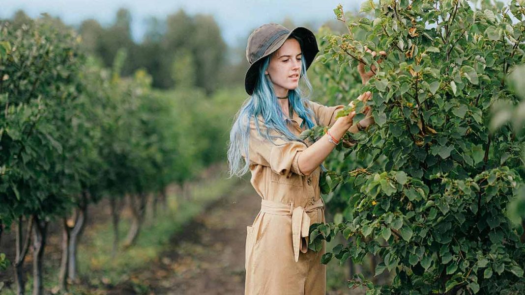 Why Pacific Seasonal Workers Say Australia’s PALM Scheme Leaves Them Vulnerable to Exploitation and Retaliation