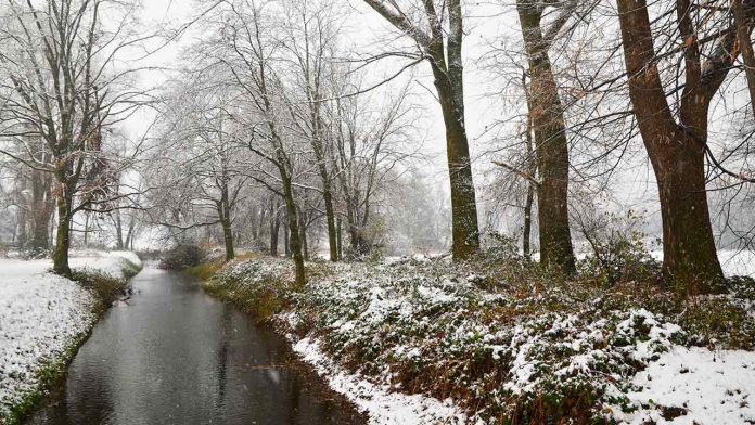 UK Weather Warning Today: Storm Goretti Brings ‘Weather Bomb’, Snow, Ice and Power Disruption