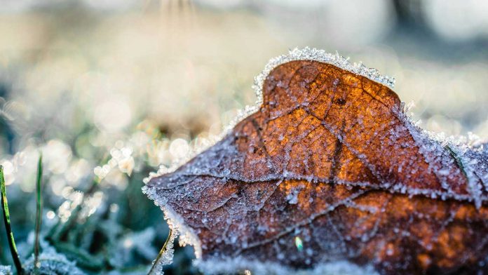 Severe Cold Grips the UK in 2026: Who Is Most at Risk as Snow and Health Alerts Expand?