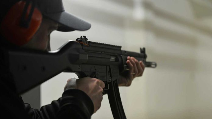 Minneapolis ICU Nurse Fatally Shot by Border Patrol Agent