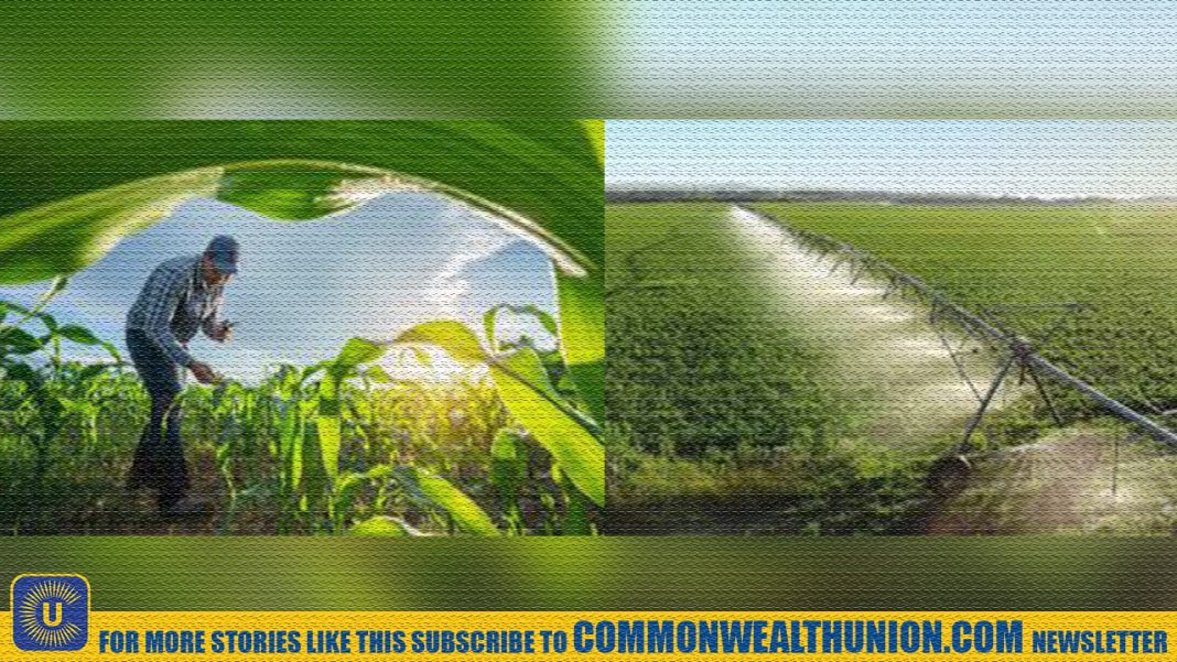 GFFA Calls for Agriculture to Take Center Stage in Global Water Policy GFFA Calls for Agriculture to Take Center Stage in Global Water Policy
