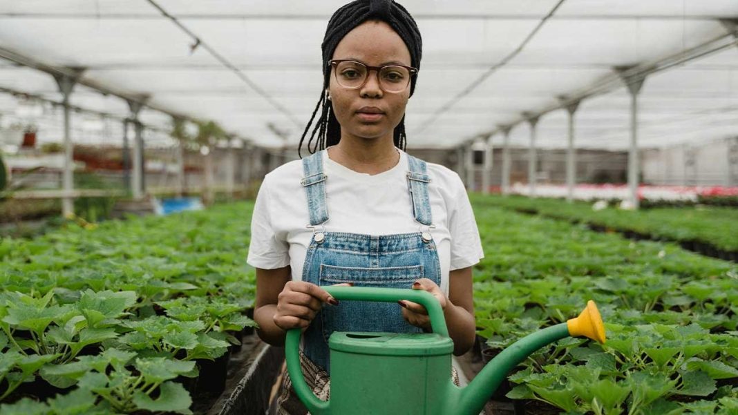 How a Canada-Funded Scholarship Is Opening Doors for Jamaican SAWP Families How a Canada-Funded Scholarship Is Opening Doors for Jamaican SAWP Families