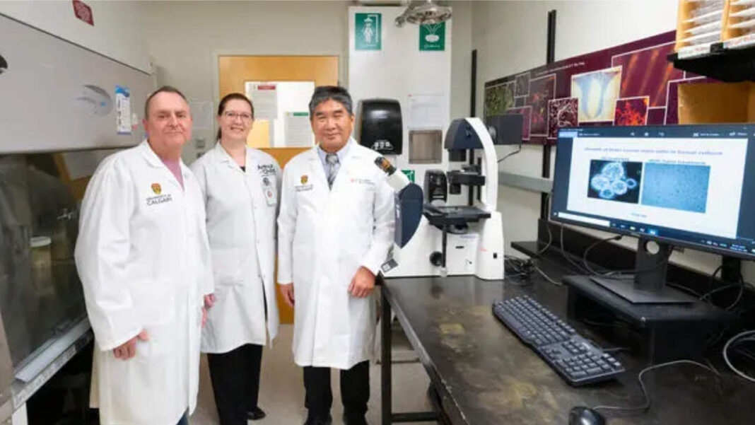 Could This Vitamin Offer Hope Against Deadly Brain Cancer? Could This Vitamin Offer Hope Against Deadly Brain Cancer?