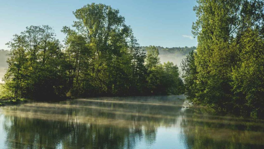 Misty Mornings, Calm Days: A Gentle Weather Week Unfolds Across the UAE Misty Mornings, Calm Days: A Gentle Weather Week Unfolds Across the UAE