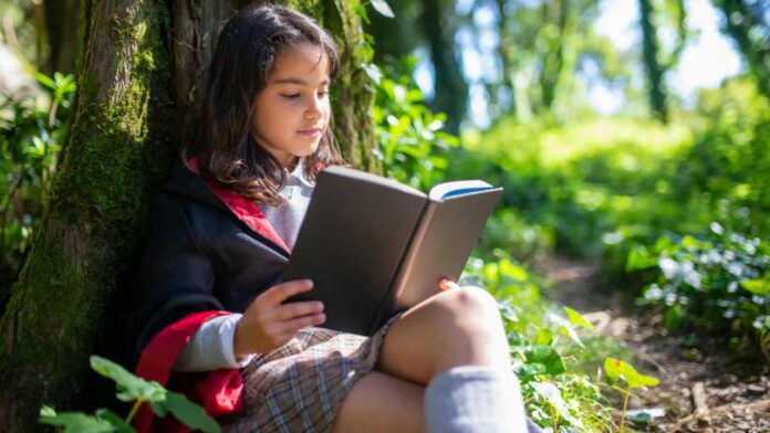 Climb Once, Land Anywhere: The Irresistible Magic of The Enchanted Wood
