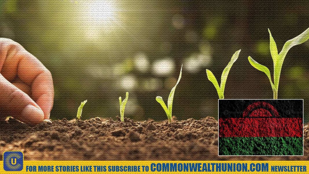 Malawi Strengthens Agriculture Trade Capacity Ahead of WTO MC14 Negotiations Malawi Strengthens Agriculture Trade Capacity Ahead of WTO MC14 Negotiations