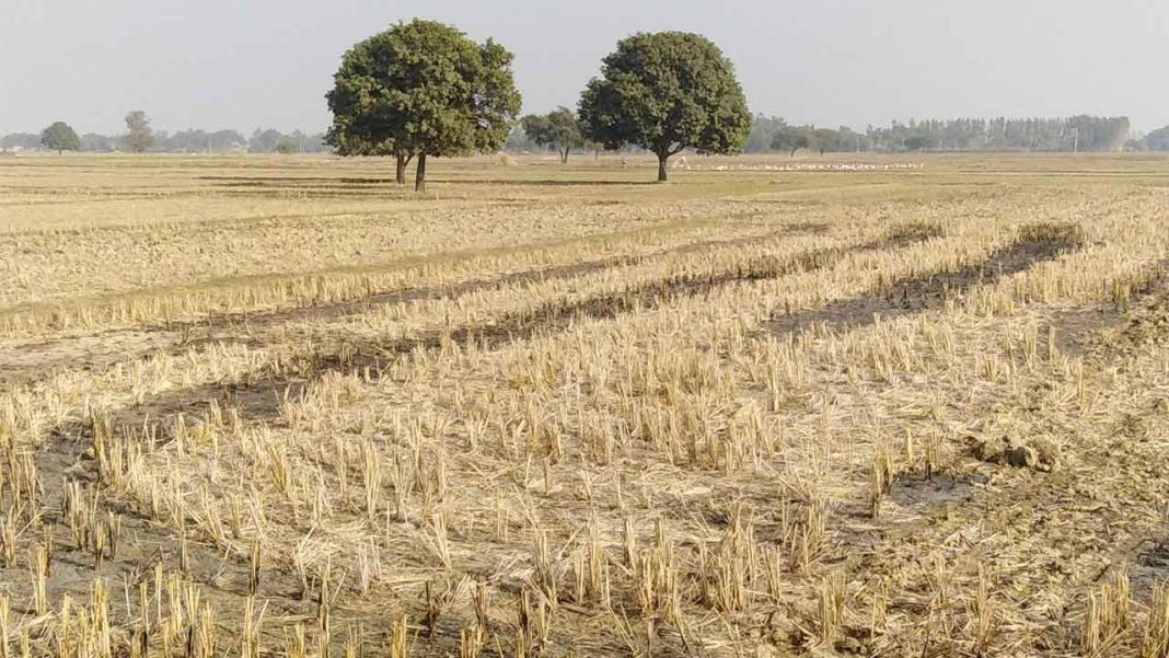 Drought Spreads Across Kenya, Leaving Herders Struggling Drought Spreads Across Kenya, Leaving Herders Struggling