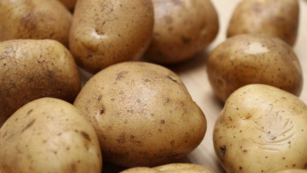 Chips For Everyone! German Farm Shares Millions of Extra Potatoes Chips For Everyone! German Farm Shares Millions of Extra Potatoes