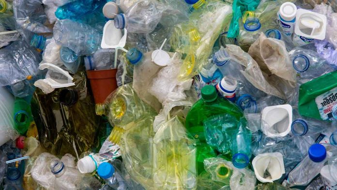Plastic Pollution May Be Making Water More Dangerous, Study Warns