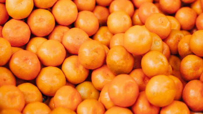 Fuel Crisis Could Disrupt South Africa’s Citrus Exports This Season