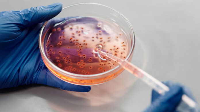 New study finds deep ocean microbes already prepared to tackle climate change