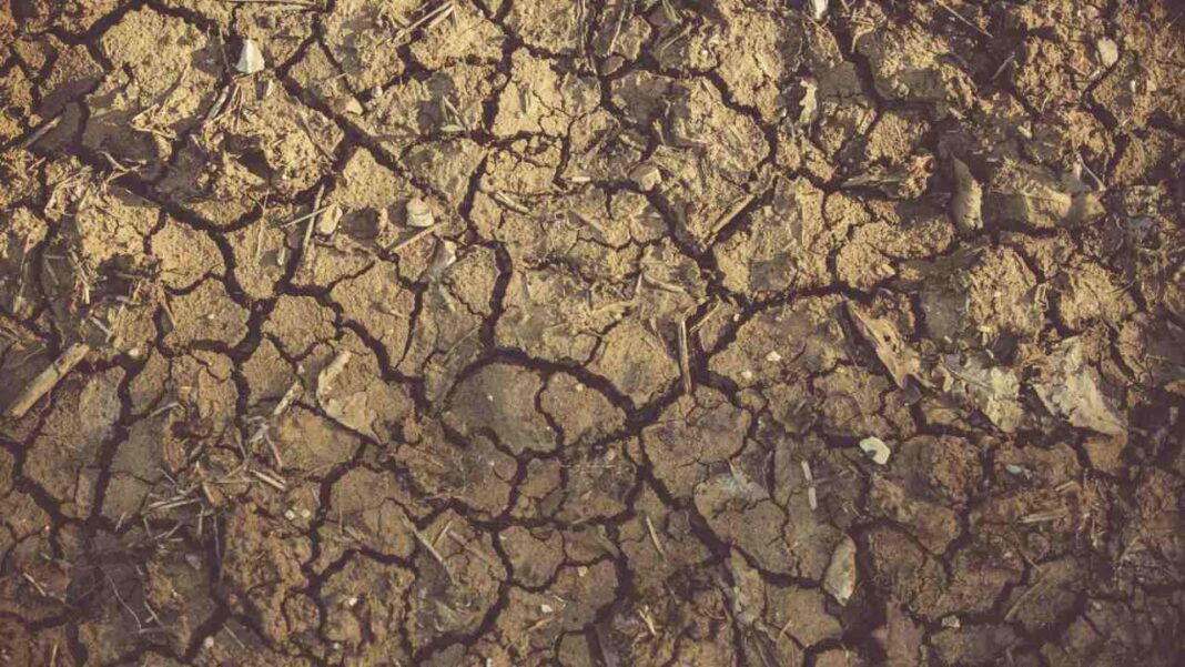 2040 on the Brink: Why No Nation Is Safe from the Coming Food Security Crisis