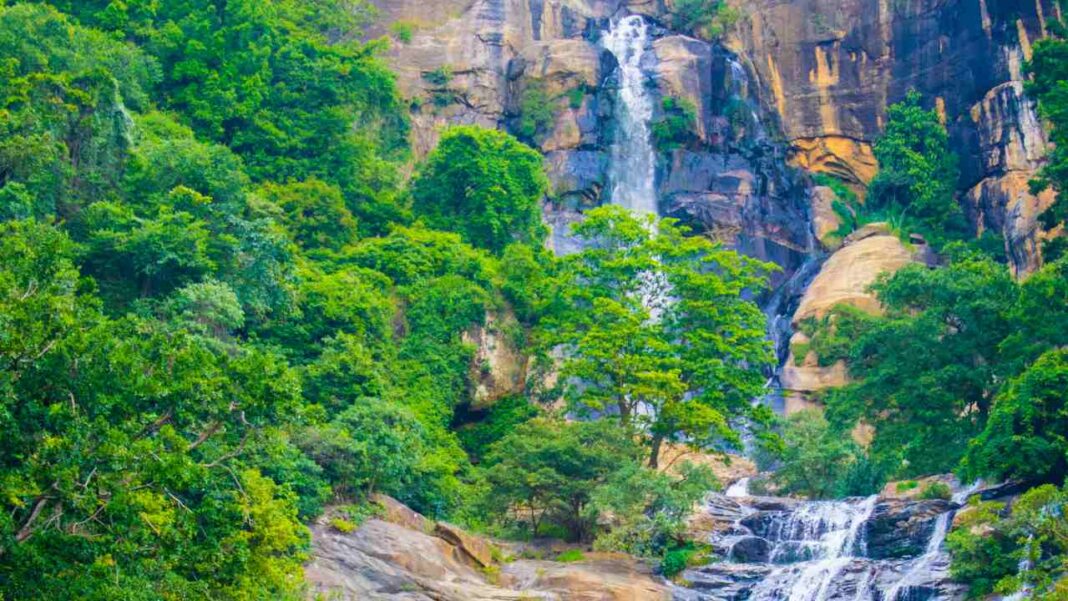 Could Sri Lanka Be the Next Bali for Digital Nomads? Could Sri Lanka Be the Next Bali for Digital Nomads?