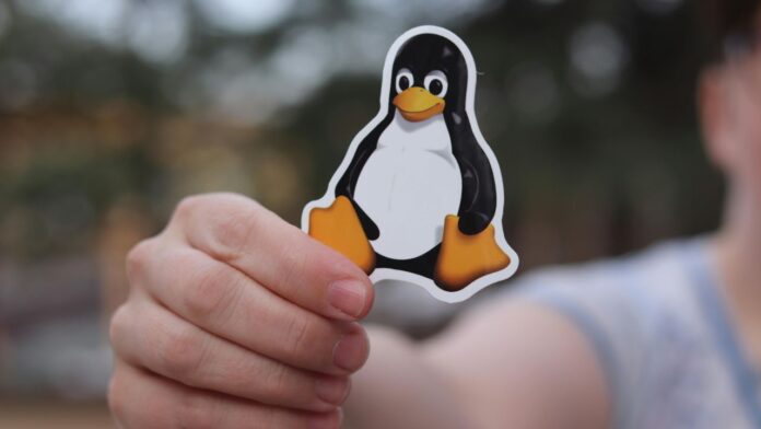 Linux Hardware's CEO Voices Opposition to State OS Age Verification Measures