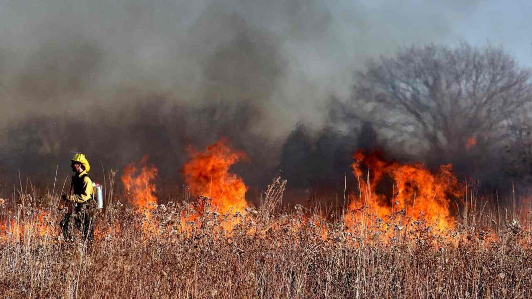 Wildfire Deaths Could Drop with Climate Action Wildfire Deaths Could Drop with Climate Action