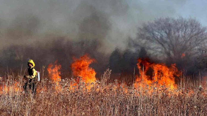 Wildfire Deaths Could Drop with Climate Action