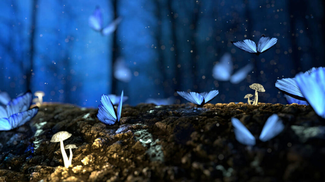 Rising Heat Threatens Tropical Insects—Can They Survive? Rising Heat Threatens Tropical Insects—Can They Survive?