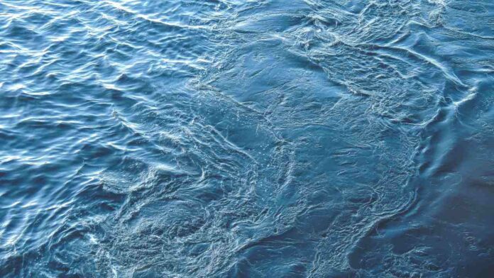 Can a Traditional Māori Plant Help Remove Dangerous PFAS “Forever Chemicals” from Water?