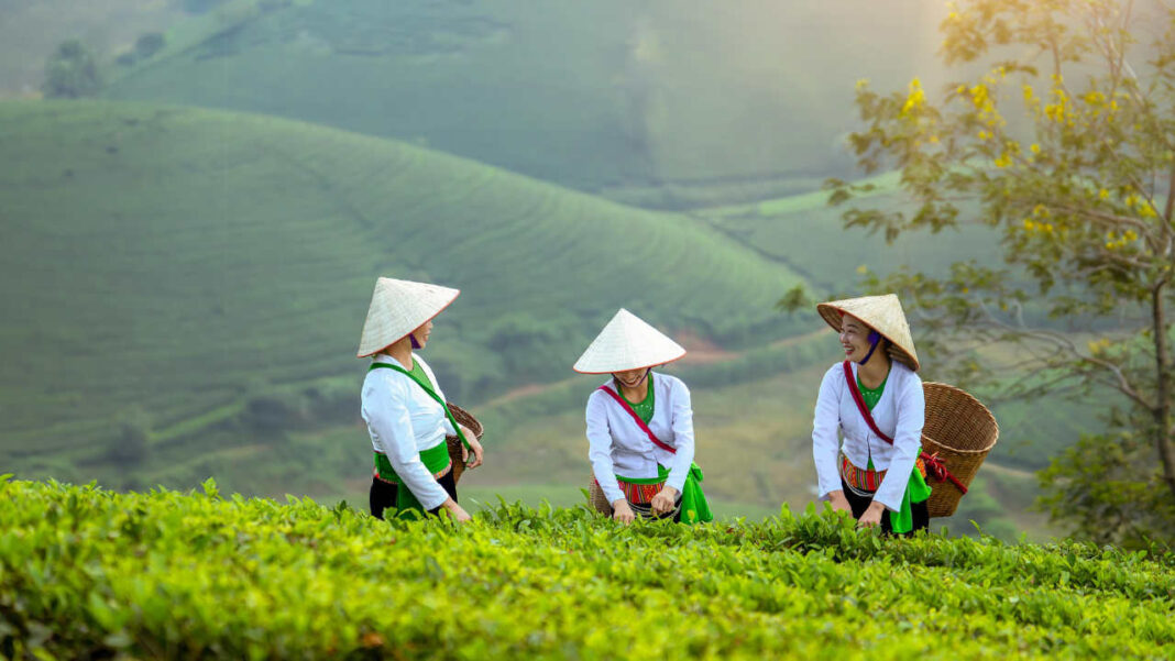 Women Farmers Central to Global Food Security at UN International Women’s Day 2026 Women Farmers Central to Global Food Security at UN International Women’s Day 2026