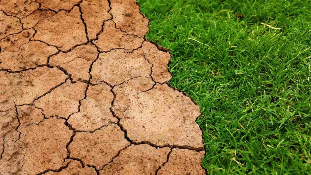 Rising Temperatures Threaten Global Food Security, Poorer Nations Hit Hardest Rising Temperatures Threaten Global Food Security, Poorer Nations Hit Hardest