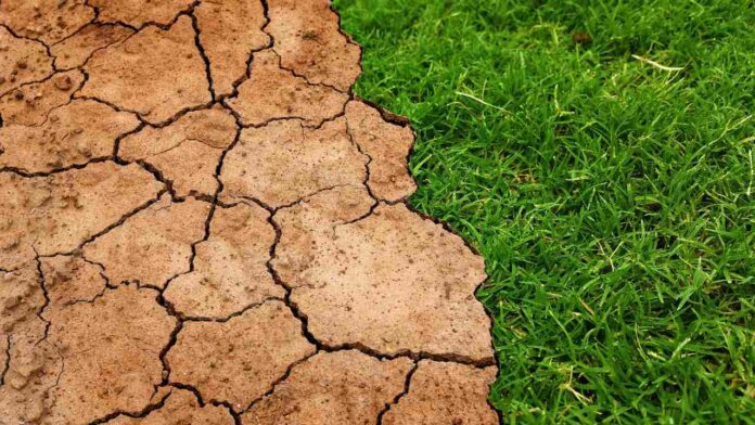 Rising Temperatures Threaten Global Food Security, Poorer Nations Hit Hardest