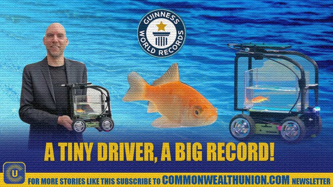 Unbelievable: This tiny goldfish just made a Guinness World Record for driving a car! But how? Unbelievable: This tiny goldfish just made a Guinness World Record for driving a car! But how?